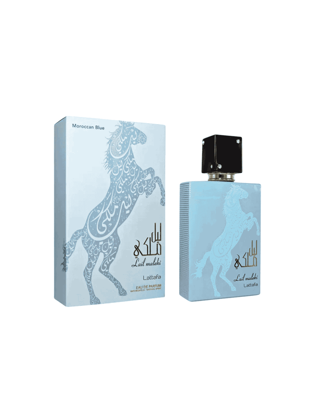 Lail Maleki Moroccan Blue