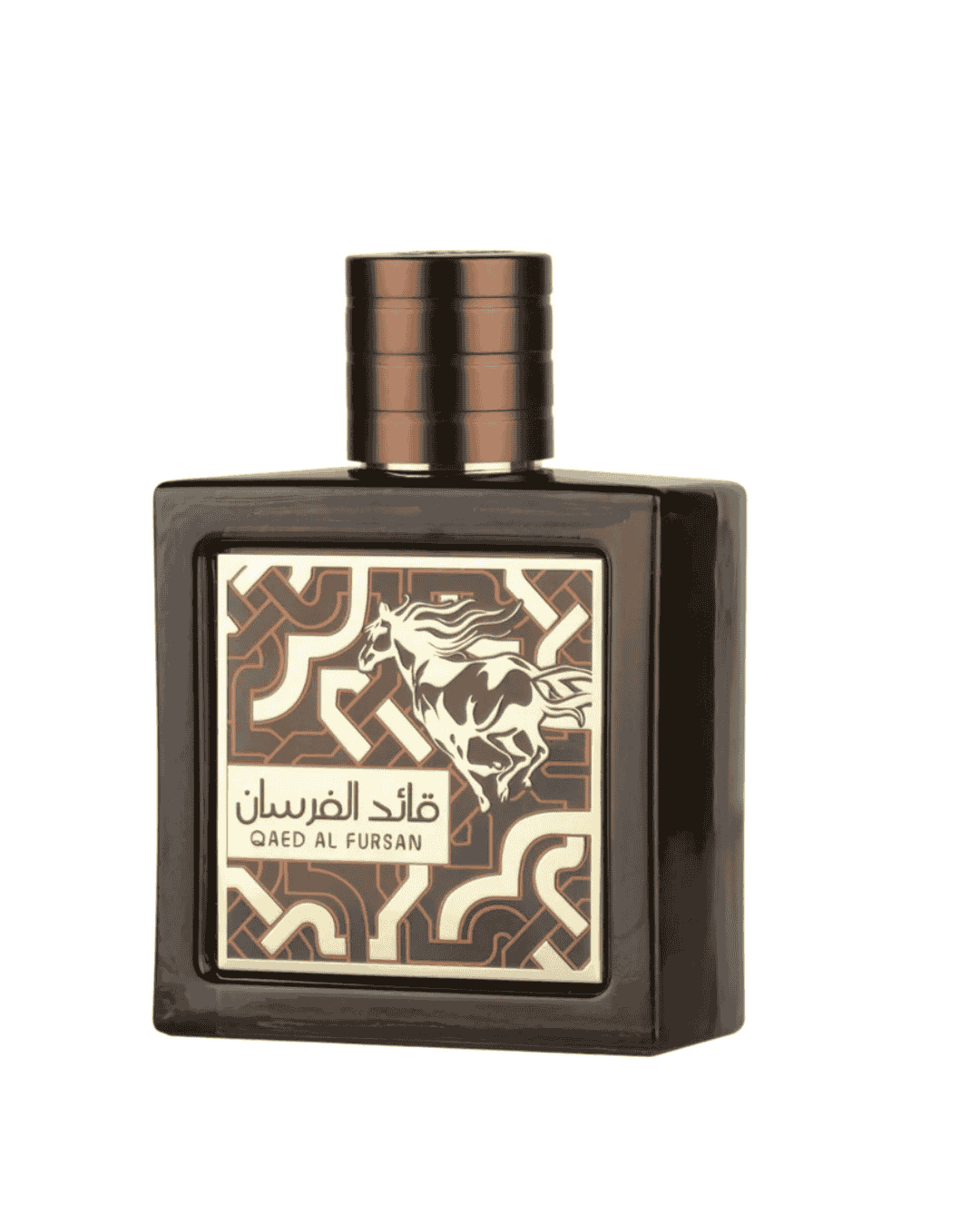 Qaed Al Fursan Untamed