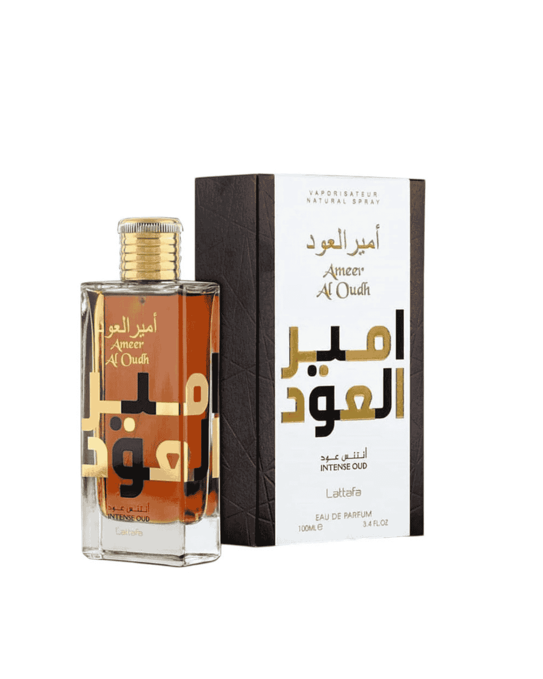 Ameer Al Oudh – Intense